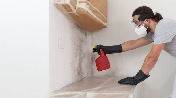 Professional Mold Testing technician working in Clinton, WA
