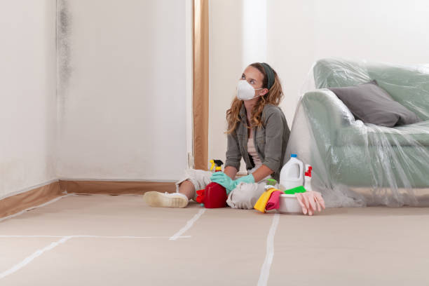 Reliable Mold Testing contractor in Clinton, WA by WQB Mold Removal